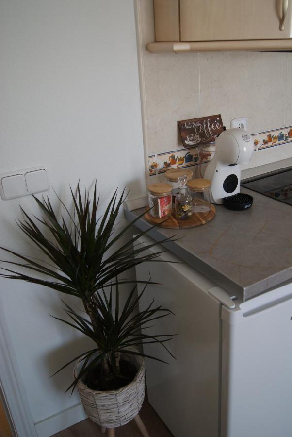 Apartamento Penas Blancas, Junto A Ruta De Los Cahorros, Monachil. Екстериор снимка